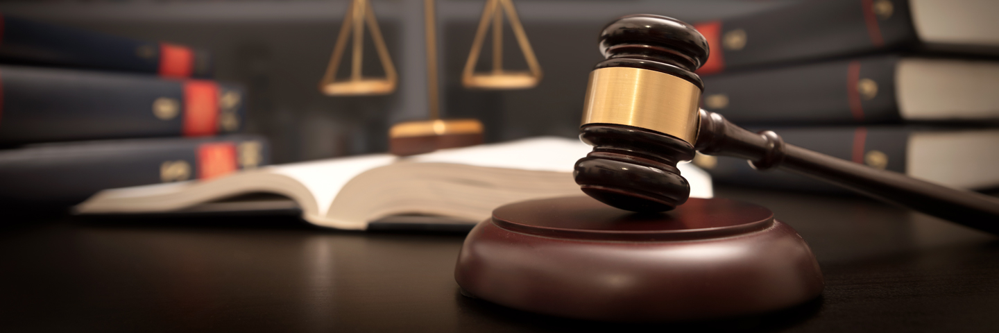 B S In Law Policy And Political Science Degree Online Or In Person